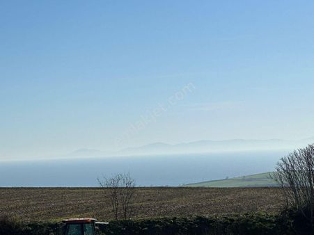 Tekirdağ Karaevli Mahallesinde Yarısı İmarlı Tarla