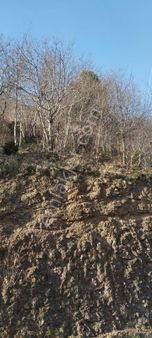 Satılık Fındıklık