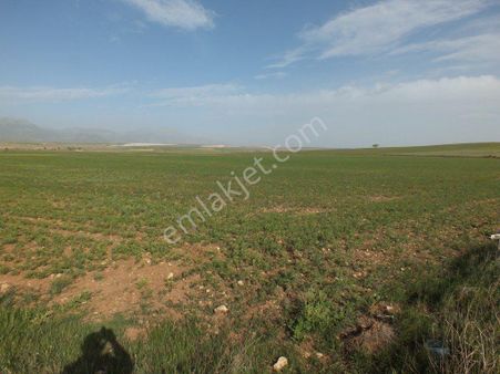 Karaman Göndere Köyü 12,8 Dönüm Satılık Tarla