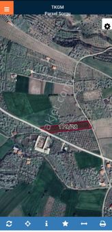 Amasya Merkez Aydınlık Köyü Yolu Kenarında Satılık Tarla