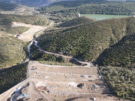 Çatalca'da Satılık 251 M2 Tapulu Taş Duvar Çevrili Doğa Harikası Bahçeler