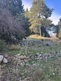 430 Metre Kare Parsel