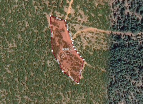 Kocaşlı'da Tepe Köyü'ne Yakın Uygun Fiyatlı Satılık Arazi