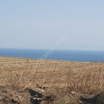 Eşsiz Deniz Manzaralı Toplamda 14.700 M2 Satılık Villa İmarlı Arsa