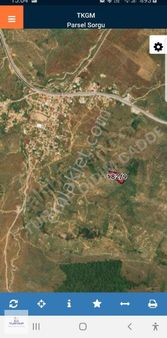 Takasa Açık - Bodrum Yolu Üzerinde Satılık ️6.5 Dönüm Zeytinlik