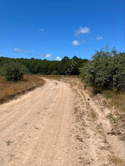 Çatalca Binkılıç'ta Satılık 7 Dönüm Kelepir Arazi