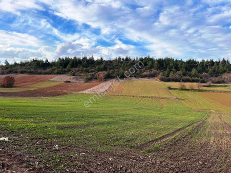 Yenişehir Günece'de Satılık Yatırımlık Arazi