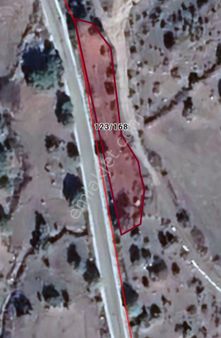 İzmir Bergama Çeltikçi Mah. Satılık Tarla