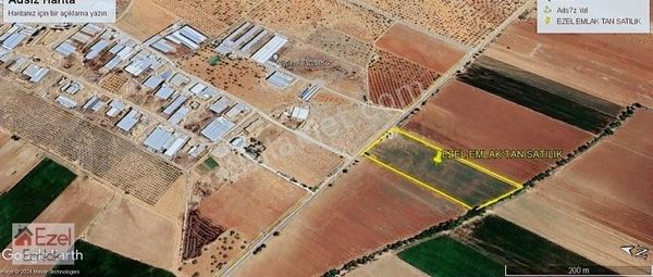 Ezel Emlak Tan Oğuzelli Gündoğan Mhl Asfalt Üstü Satılık Arazi
