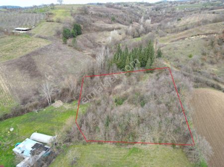 Kocaeli Karamürsel Yalakdere Satılık Tarla 5309 M2