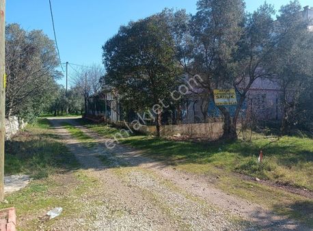 Satılık Arsa Kumsazda 183 M2 İmarsız