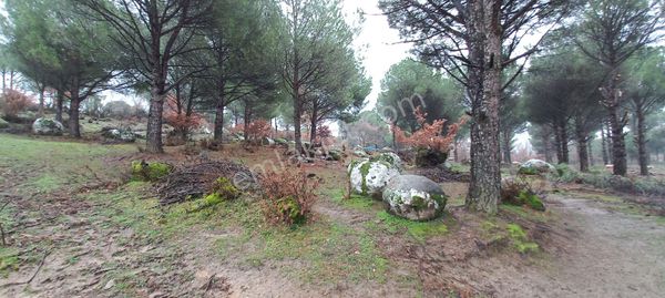 Köy İmarlı Arazimiz Satılıktır