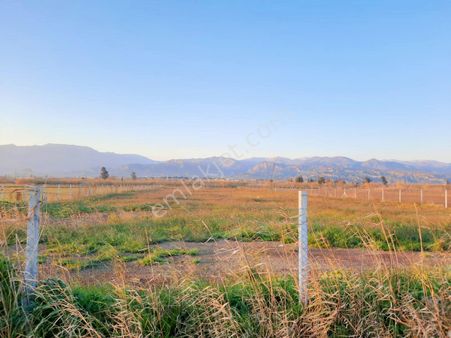Atça'da Çift Yol Cepheli, Etrafı Çevrili Sulak Tarla..