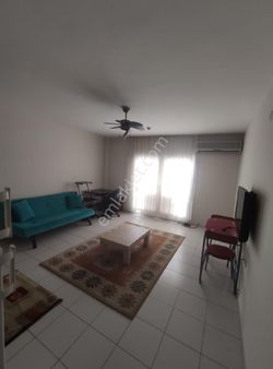 Nazilli İsabeyli Mah.üniversite Mevkiı Kiralik 1+1 Eşyalı Asansörlü 3 Kat Daire