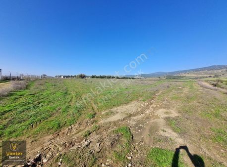 Yönter Emlaktan Derebaşı Köyünde 4.333 M² Tarla