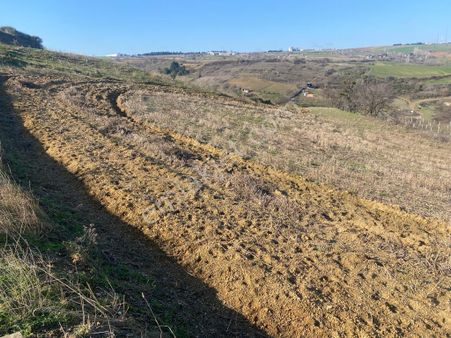 245 Mt Satılık Arsa