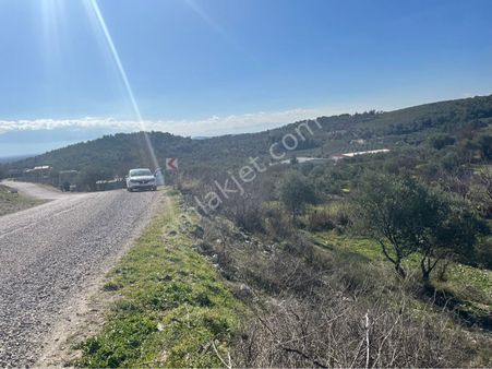 2 Adet 860m2 Ve 1160m2 Yanyana Satılık Arsa Ev Takas Olur