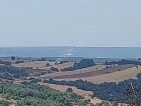 Çanakkale Merkez Yukarı Okçular Köyünde Satılık 10000m2 Tarla