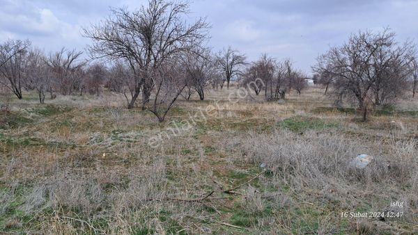 Dervişhan Sok Yakını İntikal Bölünmesi 905m2 Den 3 Parça Bahçe Yeri