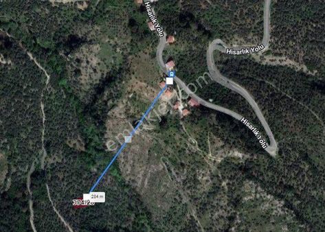 Bayındır'da İmara Yakın 500m2 Zeytinlik