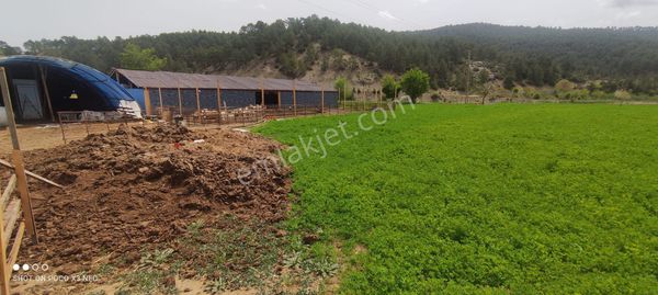 Satılık Çiftlik !! Prefabrik Ev Kadastro Yoluna Sıfır