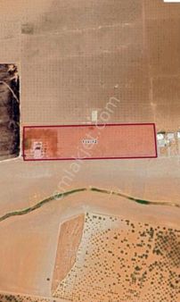 Kılıç Group Gayrimenkul Mehmet Kılıç’dan Satılık Bağ