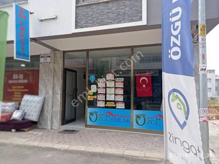 Torbalı Boz Köy De Yolu Ve Elektriği Olan Muhteşem Zeytinlik