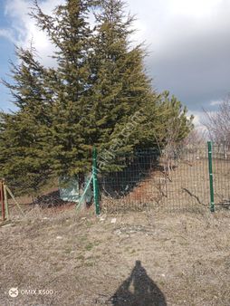 Gunalanda Satılık Arsa