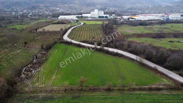 Remax Palas'tan Düzce Merkez Ovapınar Köyü Satılık Arazi