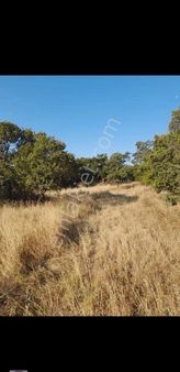 Balıkesir-edremit Arası 34.569m2 Manzaralı Köye Yakın Değerli Arazi Fırsat Fiyata