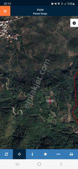 Bursa Orhangazi Heceler Mahallesinde Göl Manzaralı Hobi Bahçesi