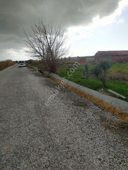 Menemen Seyrekte Satilik 32 Dönüm Tarla