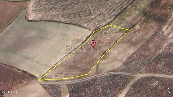 Güvenay - Çorum Merkez Büget Köyü Civarı 2.471 M² Satılık Tarla