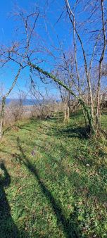 Kadıoğlu Emlak Giresun Samanlık Kıranı Mahallesi,deniz Manzaralı 5.140m2,satılık Arsa Bahçe.