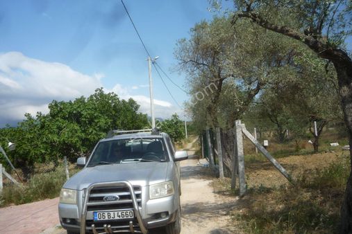 İzmir Torbalı Gold Emlaktan Satılık Kıymetli Bahçe