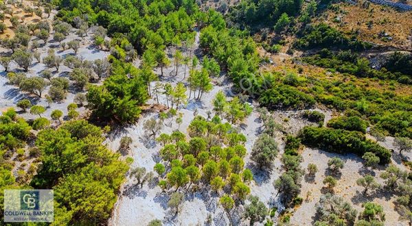 Karaburun Eğlenhoca'da 3990 M2 Satılık Tarla