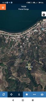 Satılık Zeytinlik İznik Göllüce De