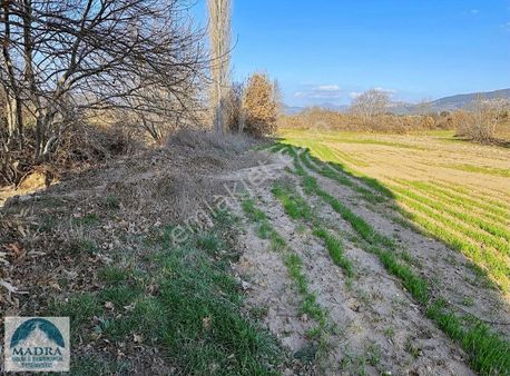 Balıkesir Burhaniye Tahtacı Köyü Tarla