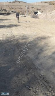 Sosb. Devamında Tek Tapu Hobi Bahçesi Ve Ahır Yerleri