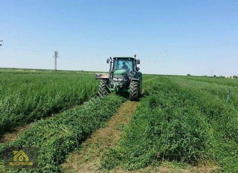 Denizli Çivril Merkeze Yakın 7.615.00m² Tarlamız Satılıktır