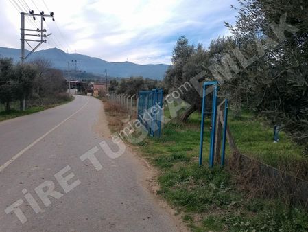 Tire Tuğra Emlak Güvencesiyle Satılık İçerisinde Ruhsatlı 2+1 Evi Olan Zeytinlik