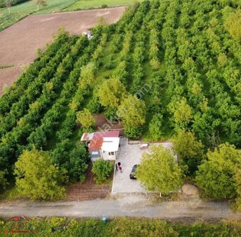 Sakarya Arifiye Kemaliye Köyünde 10866m2 Satılık Arsa