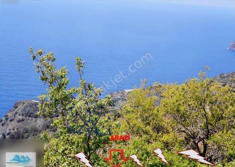 Gazipaşa Satılık Arsa Deniz Manzaralı 843 M2 Zeytinada