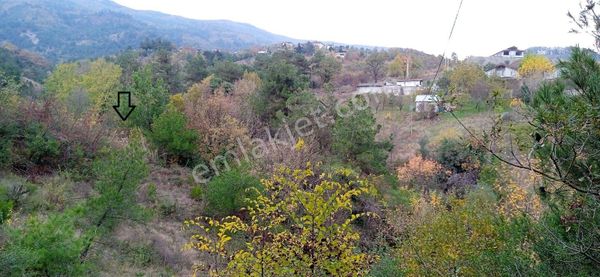 Sakarya Geyve Köprübaşı 1130 M² İmarlı Arsa (20,6m Yola Cepheli)