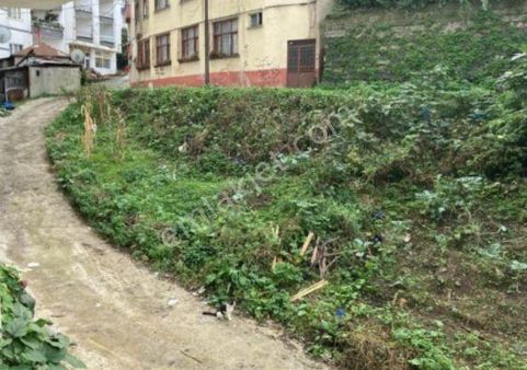 İnanc Emlaktan Giresun Merkez Yeniyolda 5 Katlı İmarlı Arsa