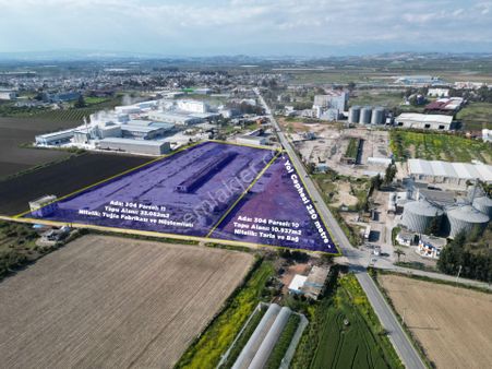 Thor'dan Yenice Havaalanı Yakını 33000m2 Fırsat Arsa