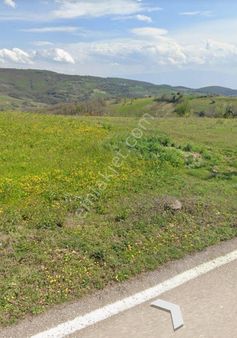 Remax Palas'tan Gökçeviran'da Yola Cephe Satılık Arazi