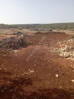 Ayaş Da 1500 M2 Ev Ve Bahçelik Toprak İmarlı Tarla Erdemli