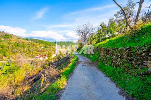 Alanya Şıhlar Köyü’nde Satılık 1.465 M2 Tarla