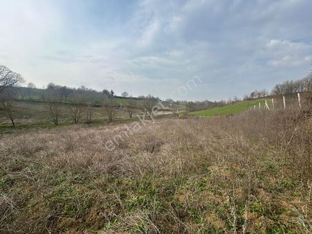 Kocaeli Karamürsel Yalakdere Mahallesi Satılık 5210 M2 Tarla